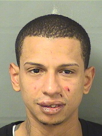  RAFAEL ALBERICO JIMENEZ Resultados de la busqueda para Palm Beach County Florida para  RAFAEL ALBERICO JIMENEZ