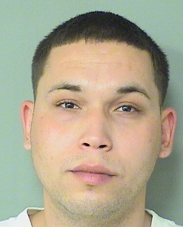  JORGE DAVID MEJIASCASTRO Resultados de la busqueda para Palm Beach County Florida para  JORGE DAVID MEJIASCASTRO