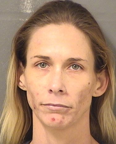  DANIELLE RENAE FLOYD Results from Palm Beach County Florida for  DANIELLE RENAE FLOYD