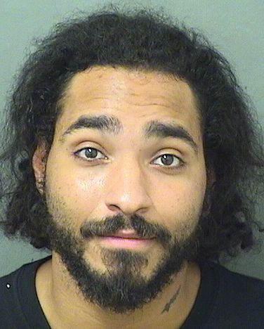  FERDINAND JESUS GARCIA Results from Palm Beach County Florida for  FERDINAND JESUS GARCIA