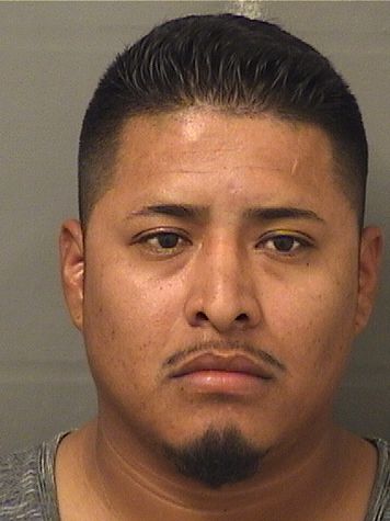  JOSE N ALVAREZ Results from Palm Beach County Florida for  JOSE N ALVAREZ