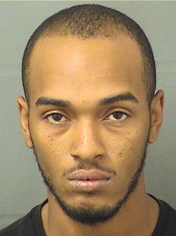  RYAN MICHAEL WILSON Results from Palm Beach County Florida for  RYAN MICHAEL WILSON