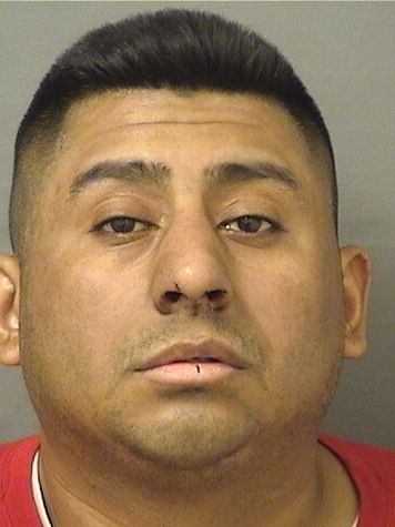  DENIS ALFREDO LOPEZMORALES Results from Palm Beach County Florida for  DENIS ALFREDO LOPEZMORALES