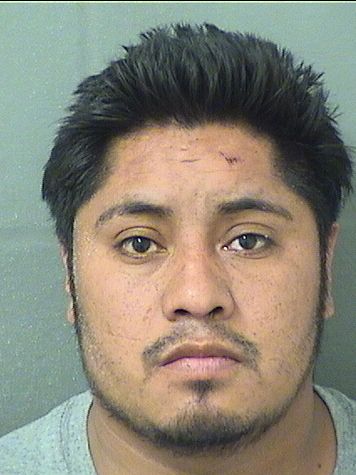  ELMER FELIPE YAXBATZ Results from Palm Beach County Florida for  ELMER FELIPE YAXBATZ