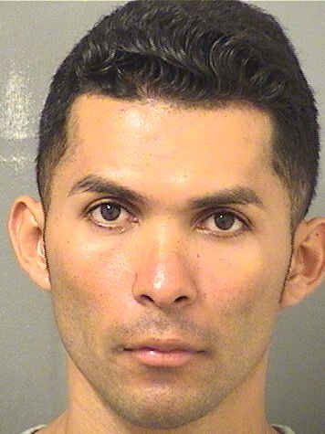  MARVIN ALCIDES HERNANDEZ Results from Palm Beach County Florida for  MARVIN ALCIDES HERNANDEZ