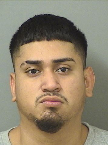  RIVALDO DOLORES GRANADOS Resultados de la busqueda para Palm Beach County Florida para  RIVALDO DOLORES GRANADOS