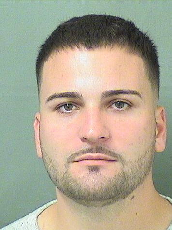  NICHOLAS VINCENT JOYCE Results from Palm Beach County Florida for  NICHOLAS VINCENT JOYCE