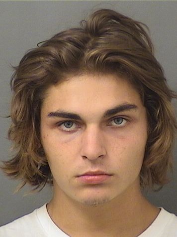  DOMINIC RJ GATTUSO Results from Palm Beach County Florida for  DOMINIC RJ GATTUSO