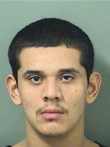  CARLOS A HERNANDEZ Results from Palm Beach County Florida for  CARLOS A HERNANDEZ