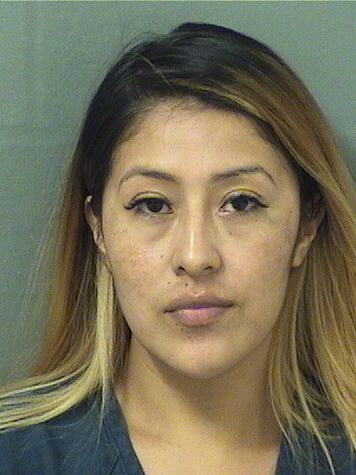  GILMA MARLENY DIAZRAMIREZ Resultados de la busqueda para Palm Beach County Florida para  GILMA MARLENY DIAZRAMIREZ