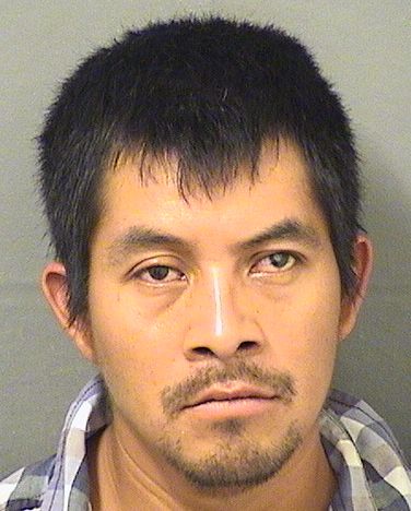  CARLOS MIGUEL JOSE Results from Palm Beach County Florida for  CARLOS MIGUEL JOSE