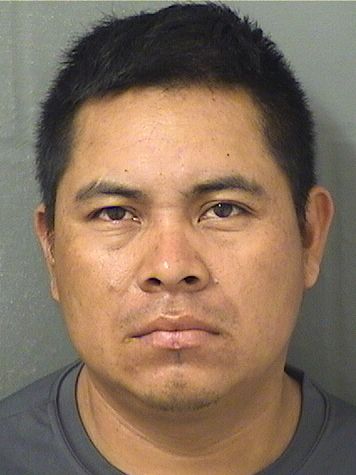  ILVES MEJIAVENTURA Resultados de la busqueda para Palm Beach County Florida para  ILVES MEJIAVENTURA