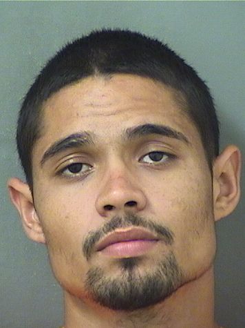  CARLOS HERNANDEZ Results from Palm Beach County Florida for  CARLOS HERNANDEZ