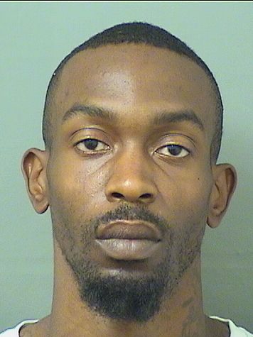  TERRANCE R BROWN Results from Palm Beach County Florida for  TERRANCE R BROWN