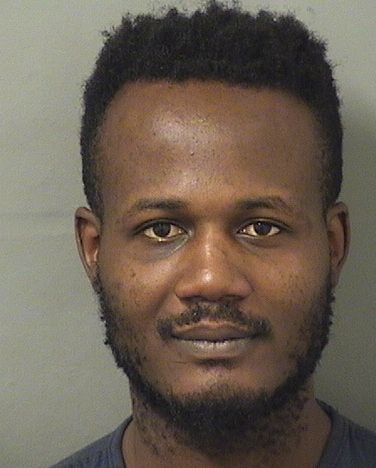  PATRICE THEODULE Results from Palm Beach County Florida for  PATRICE THEODULE