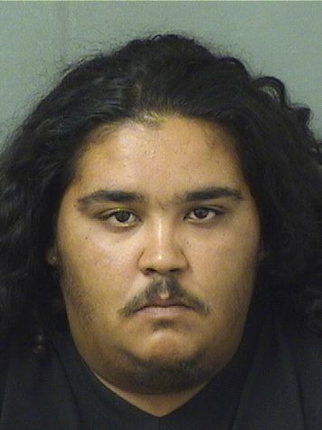  NICHOLAS SUAREZ Results from Palm Beach County Florida for  NICHOLAS SUAREZ