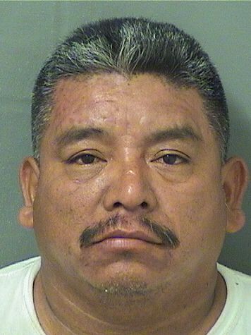  ISAMAR BRAVLIO PEREZPEREZ Results from Palm Beach County Florida for  ISAMAR BRAVLIO PEREZPEREZ