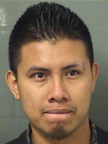  LUIS ALBERTO HERNANDEZREYES Results from Palm Beach County Florida for  LUIS ALBERTO HERNANDEZREYES