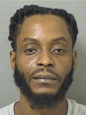  DIMITRY HANS CHERESTAL Results from Palm Beach County Florida for  DIMITRY HANS CHERESTAL