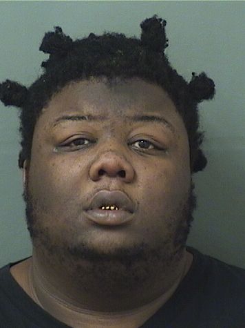  DEMARCUS R MUCKLIN Results from Palm Beach County Florida for  DEMARCUS R MUCKLIN