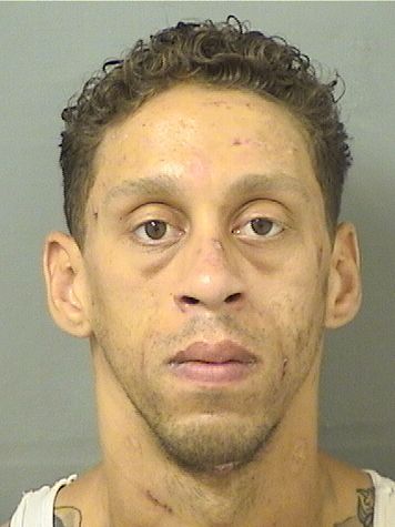 DOMINIC VICTOR FORTE Photos For  DOMINIC VICTOR FORTE  DOMINIC VICTOR FORTE Photo For  DOMINIC VICTOR FORTE