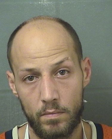  VINCENT P CHIRICO Results from Palm Beach County Florida for  VINCENT P CHIRICO