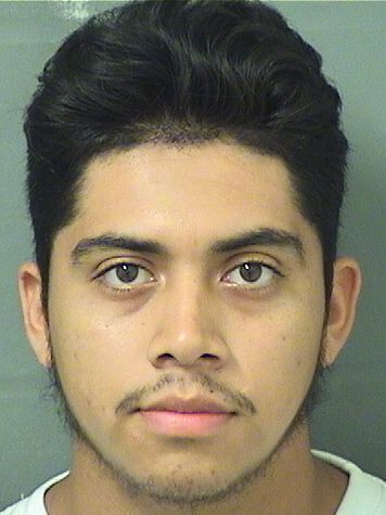  ALEXIS MONTANO Results from Palm Beach County Florida for  ALEXIS MONTANO