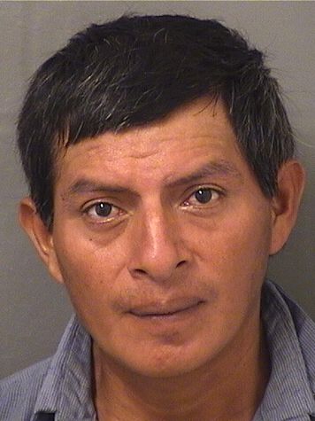  MIGUEL MATEO Photo For  MIGUEL MATEO