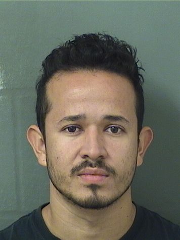  GERBER FREDERIC RODRIGUEZARDON Resultados de la busqueda para Palm Beach County Florida para  GERBER FREDERIC RODRIGUEZARDON