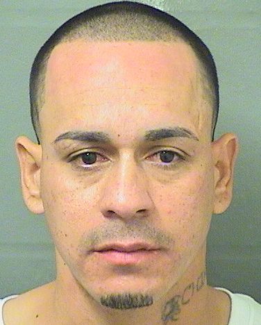  MICHAEL CALDERA Results from Palm Beach County Florida for  MICHAEL CALDERA