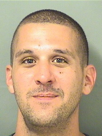  MATTHEW J FOUSTERIS Results from Palm Beach County Florida for  MATTHEW J FOUSTERIS