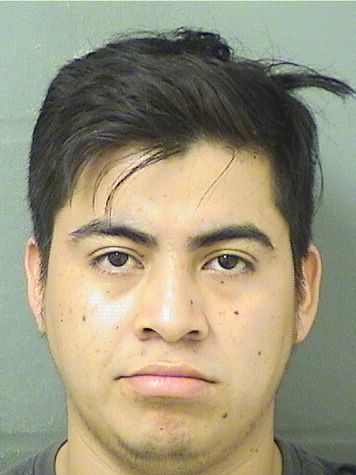  LIMBER URIEL VILLATOROHERRERA Results from Palm Beach County Florida for  LIMBER URIEL VILLATOROHERRERA