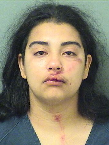  MAUREEN LADICANI Resultados de la busqueda para Palm Beach County Florida para  MAUREEN LADICANI