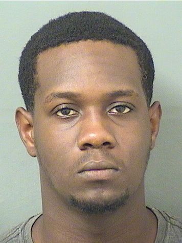  GABRIEL MICHEL Results from Palm Beach County Florida for  GABRIEL MICHEL