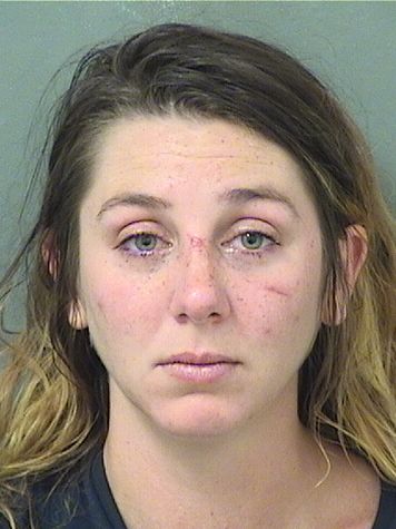  HOLLY JEAN KLINGENSTEIN Results from Palm Beach County Florida for  HOLLY JEAN KLINGENSTEIN
