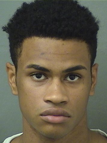  HERRON WILLIAM FIELDS Resultados de la busqueda para Palm Beach County Florida para  HERRON WILLIAM FIELDS