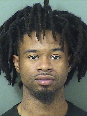  CLYDE A AMISIAL Results from Palm Beach County Florida for  CLYDE A AMISIAL