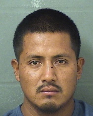  FRANCISCO MARTIN ANDRES Results from Palm Beach County Florida for  FRANCISCO MARTIN ANDRES