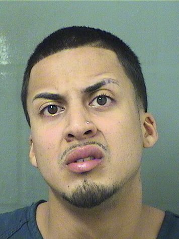  LUKE A DIAZ Results from Palm Beach County Florida for  LUKE A DIAZ