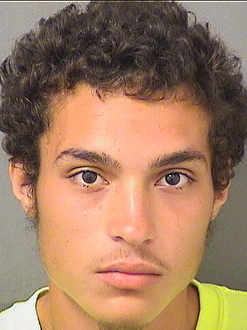  LUIS ARMANDO Jr LANDRON Results from Palm Beach County Florida for  LUIS ARMANDO Jr LANDRON