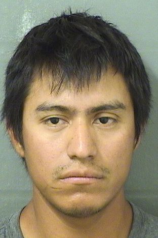  JORGE ALBERTO ORDONEZVINCENTE Results from Palm Beach County Florida for  JORGE ALBERTO ORDONEZVINCENTE