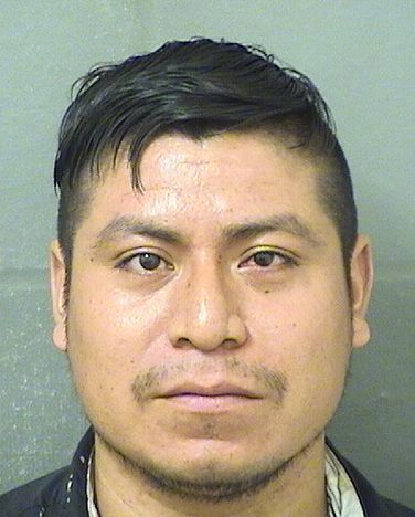 ROBERTO PAULMER MORALESROBLERO Results from Palm Beach County Florida for ROBERTO PAULMER MORALESROBLERO ROBERTO PAULMER MORALESROBLERO Results from Palm Beach County Florida for ROBERTO PAULMER MORALESROBLERO
