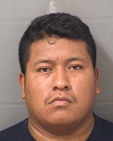  NESTOR ARREAGAPEREZ Results from Palm Beach County Florida for  NESTOR ARREAGAPEREZ