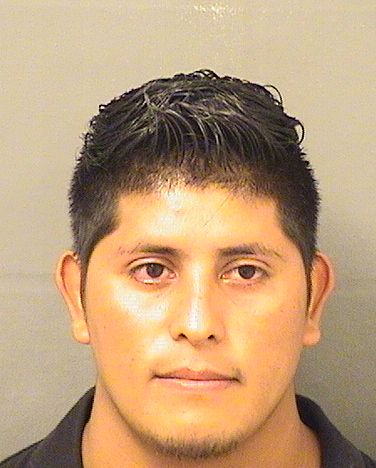  JORGE LUIS SANTOSLOPEZ Resultados de la busqueda para Palm Beach County Florida para  JORGE LUIS SANTOSLOPEZ