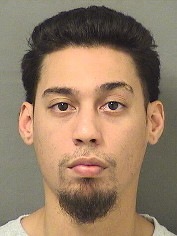  DONAVAN WILLIAM SOTOMAYOR Results from Palm Beach County Florida for  DONAVAN WILLIAM SOTOMAYOR