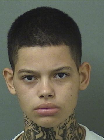  SOPHIA ISABEL VALDEZ Photo For  SOPHIA ISABEL VALDEZ