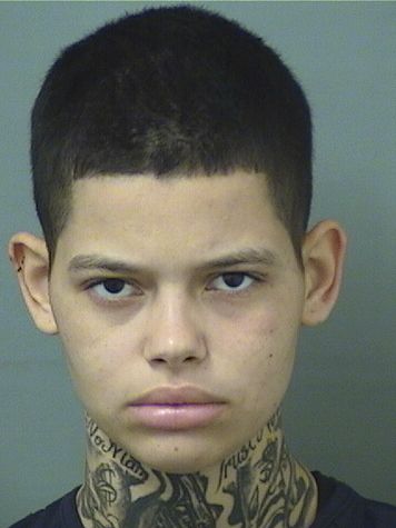  SOPHIA ISABEL VALDEZ Photo For  SOPHIA ISABEL VALDEZ