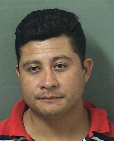HENRY HIDALGO Results from Palm Beach County Florida for HENRY HIDALGO HENRY HIDALGO Results from Palm Beach County Florida for HENRY HIDALGO