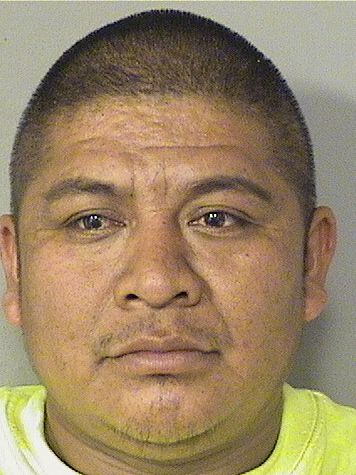  JORGE MARIO GAMASGARCIA Results from Palm Beach County Florida for  JORGE MARIO GAMASGARCIA