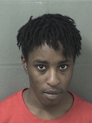  TAMESHA TAMIRIA WILSONWILLIAMS Results from Palm Beach County Florida for  TAMESHA TAMIRIA WILSONWILLIAMS